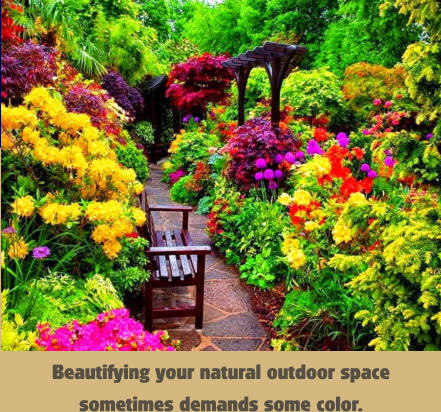 Beautifying your natural outdoor space  sometimes demands some color.
