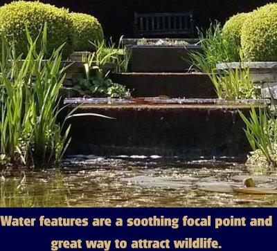 Water features are a soothing focal point and great way to attract wildlife.