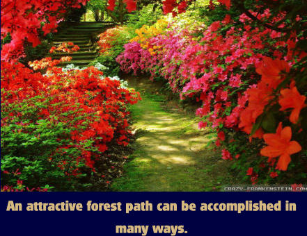 An attractive forest path can be accomplished in many ways.